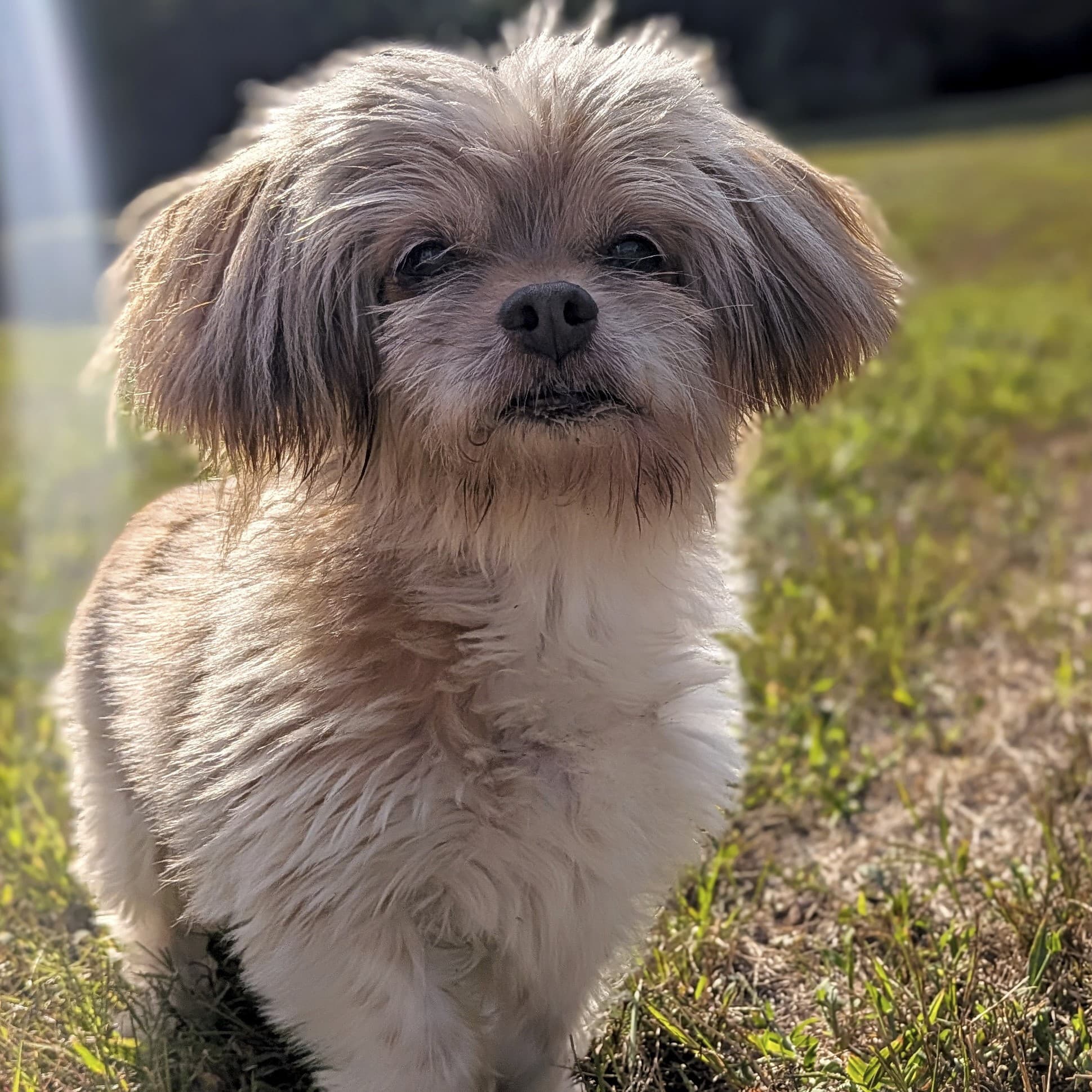 Tucker