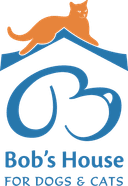 Bob's House for Dogs + Cats
